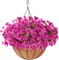 12“ Hanging Basket with Faux UV Resistant Silk Flowers, Realistic Fake Hanging Eucalyptus Plants